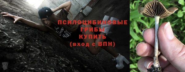 экстази Краснослободск