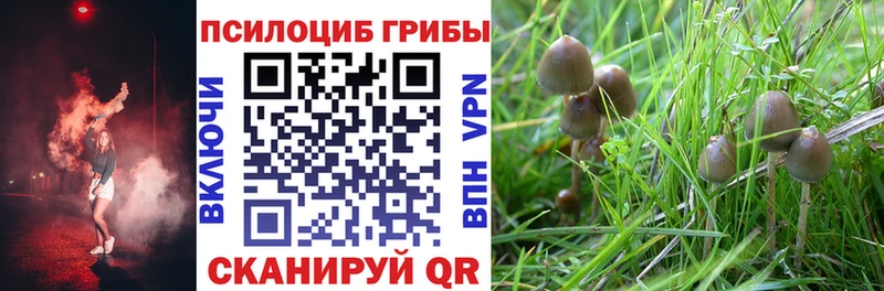 Купить где  Кириллов  Галлюциногенные грибы прущие грибы 