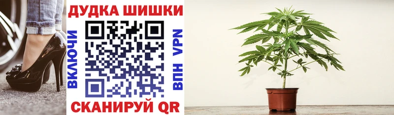 Купить где  Кириллов  Канабис конопля 